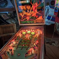 Flipper Williams Tropic Fun