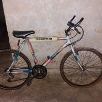 bici da uomo