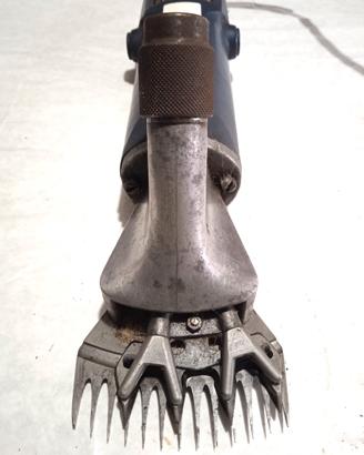 Tosatrice pecore Aesculap econom SE GT270