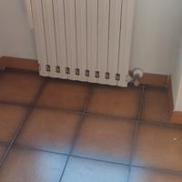 termosifoni in ghisa 