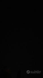 Spazio cavalli, riposo