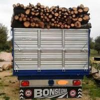 Legna secca di Olivo