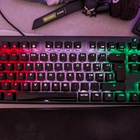 FNATIC Tenkeyless Silver Speed