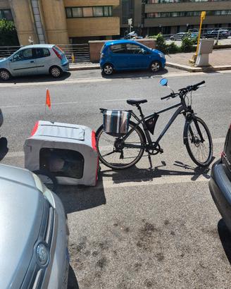bici elettrica