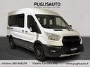 ford-transit-9-posti-2-0-ecoblue-mhev-170-pm-tm