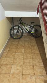 Bicicletta 29