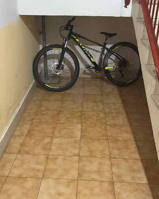 Bicicletta 29