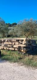 pali vigna