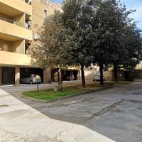 Cantina di 15 mq finestrata al piano terreno