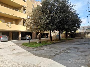 Cantina di 15 mq finestrata al piano terreno