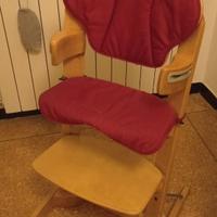 Seggiolino evolutivo