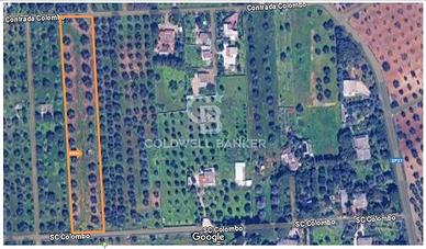 Terreno agricolo - Carovigno