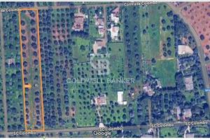 Terreno agricolo - Carovigno