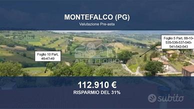 Immobile in asta di 7308 m² a Montefalco