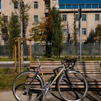 Bici corsa Mariano Ultegra, Carbonio, Taglia 51