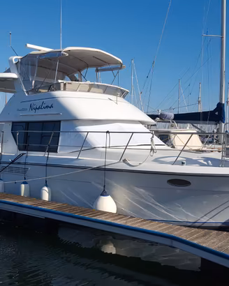Barca Carver 33 AFT Fly