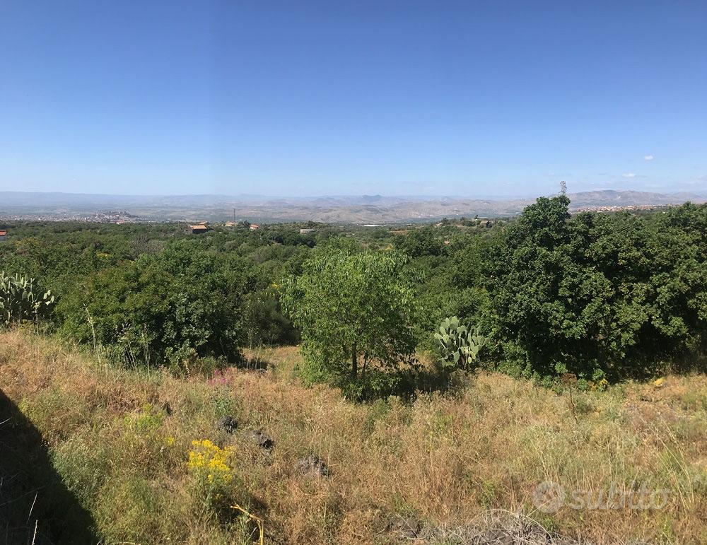 Terreno agricolo con possibilità edificare - Vista 3