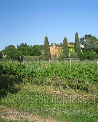 Terreno Agricolo Grottaferrata [A4281362]