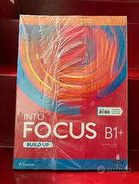 INTO FOCUS B1+ BUILD UP