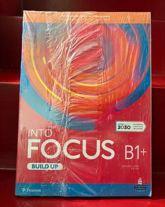 INTO FOCUS B1+ BUILD UP