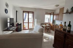 Ampio appartamento con veranda e cortile