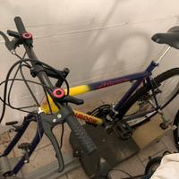 Rulli bici Technogym