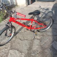 Bicicletta Bimbo 5-7 anni