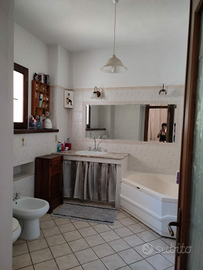 Monolocale per tutto l'anno