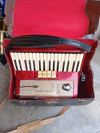 fisarmonica  solonola