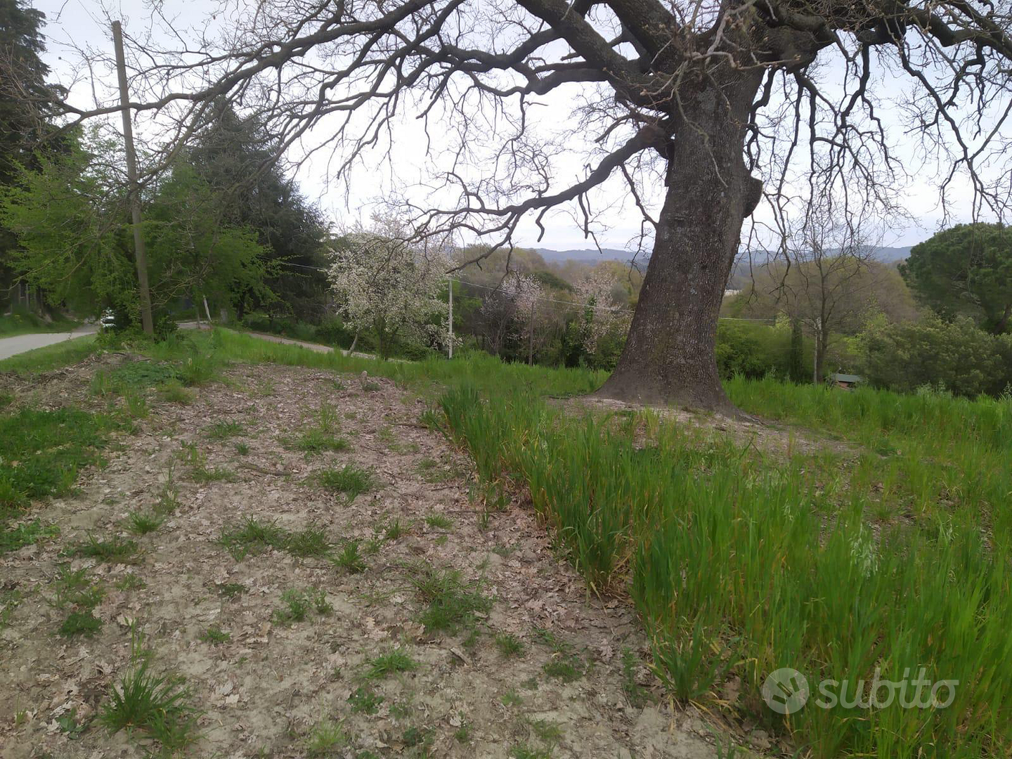 Terreno agricolo - Vista 4