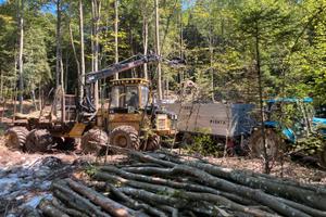 Forwarder CAT