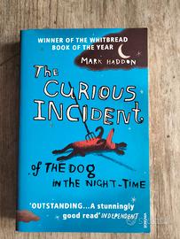 libro in lingua inglese 