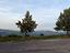 Immagine 17
