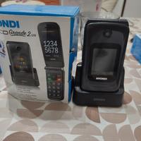 Brondi amico grande 2 