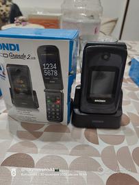 Brondi amico grande 2 