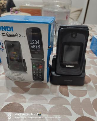 Brondi amico grande 2 