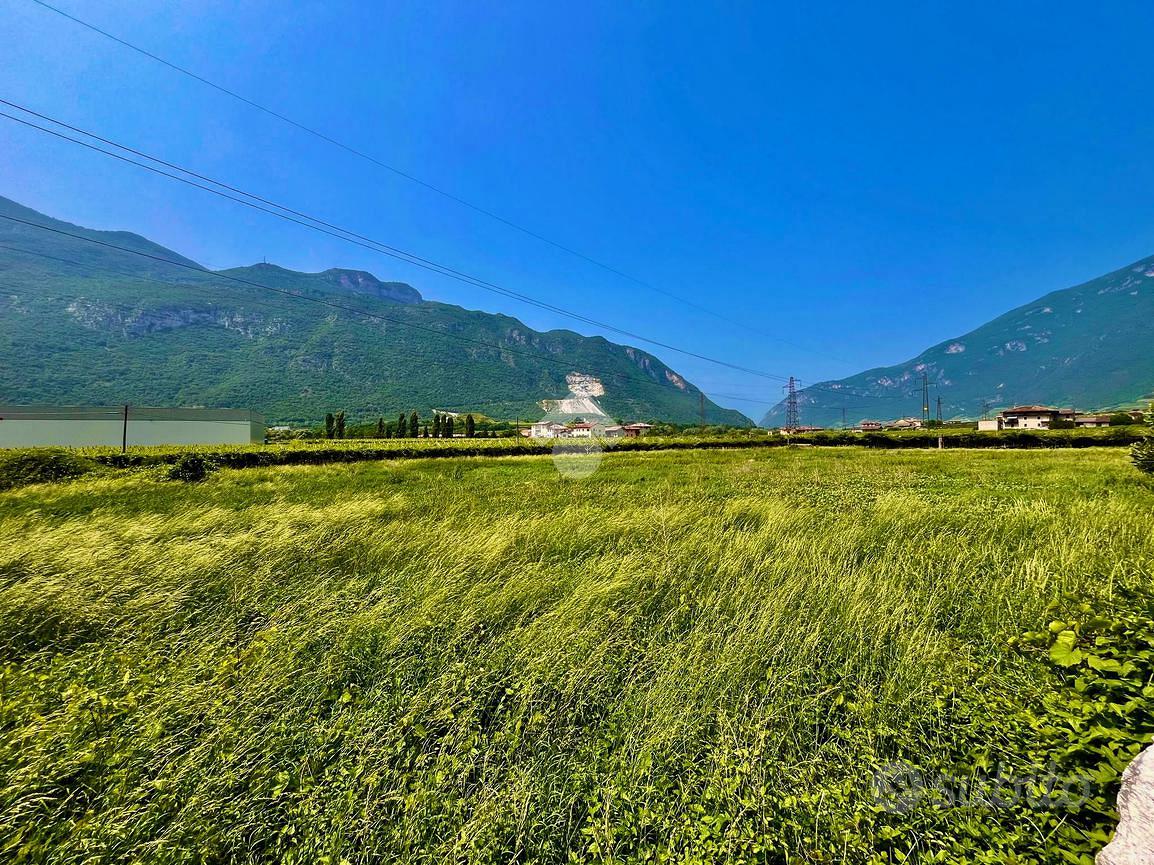 TER. AGRICOLO A ALA - Altro