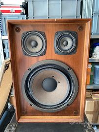 Cassa Audio Perser