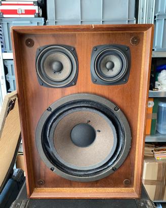 Cassa Audio Perser