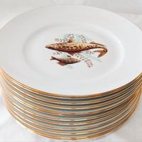 Servizio piatti da pesce decorato Richard Ginori.