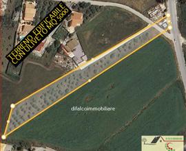 Terreno edificabile c2 con uliveto mq 5000