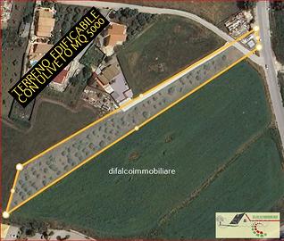 Terreno edificabile c2 con uliveto mq 5000