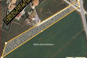 Terreno edificabile c2 con uliveto mq 5000
