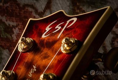 ESP Custom Shop,