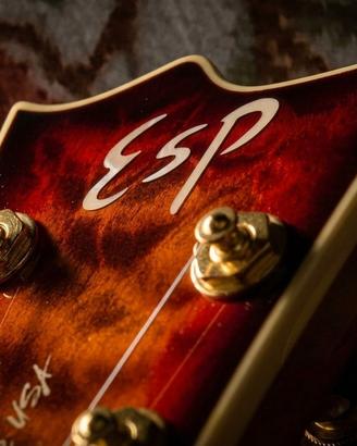 ESP Custom Shop,