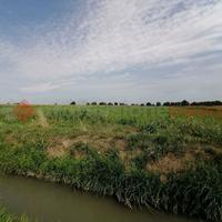 Terreno Agricolo Casaleone [Cod. rif 43VRG]