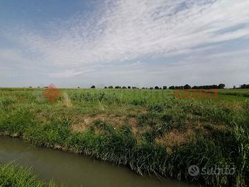 Terreno Agricolo Casaleone [Cod. rif 43VRG]