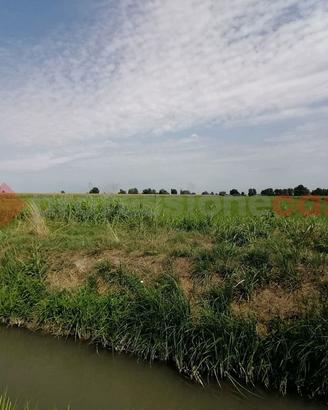 Terreno Agricolo Casaleone [Cod. rif 43VRG]