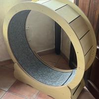Ruota per gatti