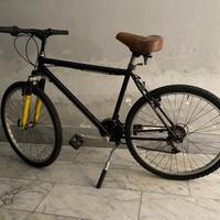 Bicicletta Logan 760